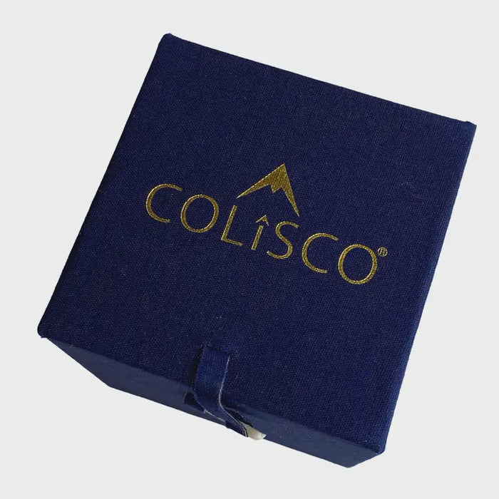 Colorado Camper Van Animals Ornament